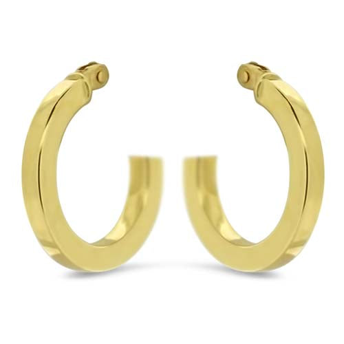 Yellow Gold Hoop Earrings